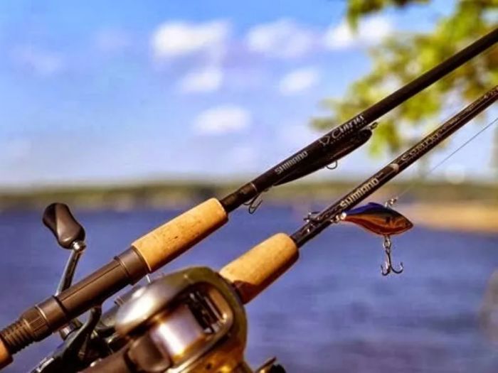 Cần câu cá Shimano ảnh 2