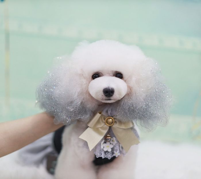 Dejay's Grooming hình ảnh 2