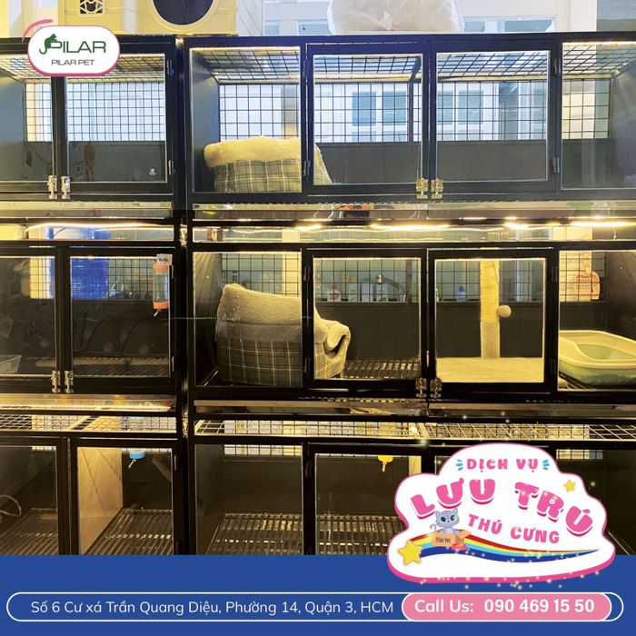 Pilar Pet hình ảnh 2