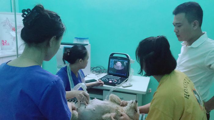 Hình ảnh Phòng khám FUNCHUPET - Cơ sở vật chất hiện đại