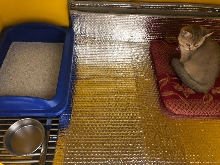 Oscar Petshop hình ảnh 1