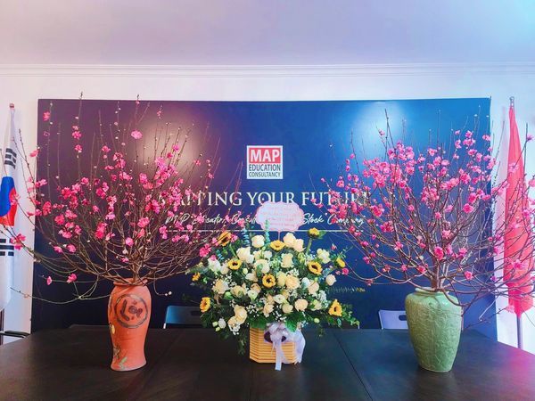 Hình ảnh hoạt động của Du học Hàn Quốc MAP