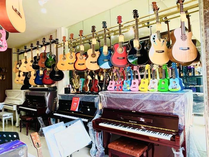 Bộ sưu tập nhạc cụ đa dạng tại Nam Phương Music - Ảnh 2