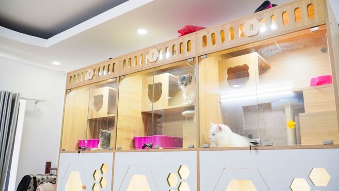 Pet's Home hình ảnh 1
