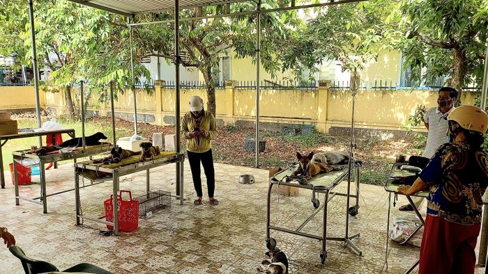 Hình ảnh Bệnh Viện Thú Y Huế - Không gian chăm sóc chuyên nghiệp