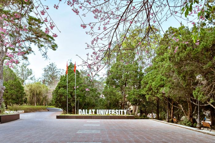 Trường Đại học Đà Lạt - Hình ảnh 1