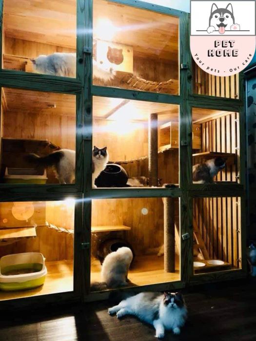 Không gian spa cao cấp và tiện nghi tại ZinZin PetHome