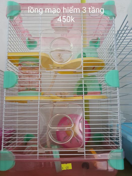 TH pet shop ảnh 2