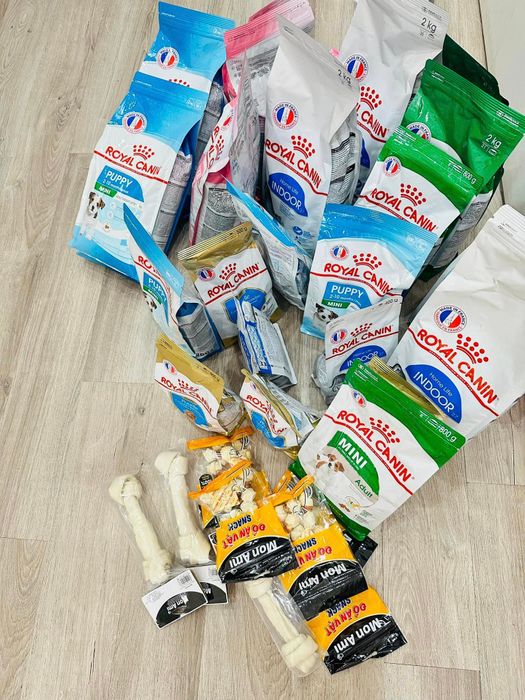 Hình ảnh tại Bobo Pet Shop - điểm đến tin cậy cho thú cưng của bạn
