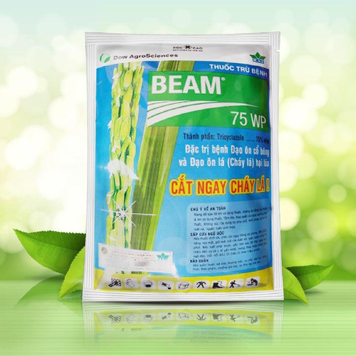 Beam 75WP – Thuốc đặc trị đạo ôn lá, đạo ôn cổ bông - Hình ảnh 1