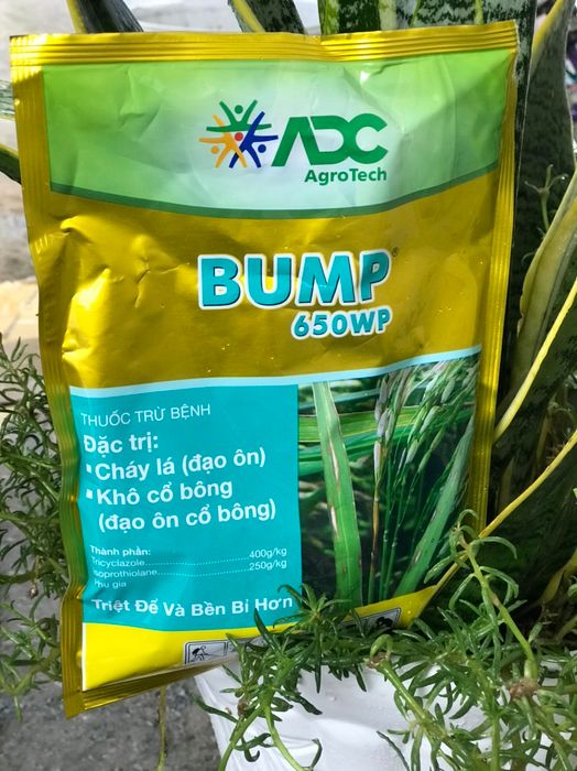 Bump - Thuốc đặc trị đạo ôn - Hình ảnh 2