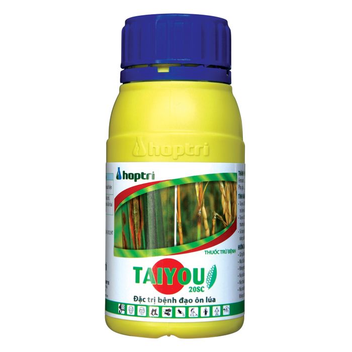 Taiyou 20SC – Thuốc đặc trị bệnh đạo ôn lúa - Hình ảnh 2