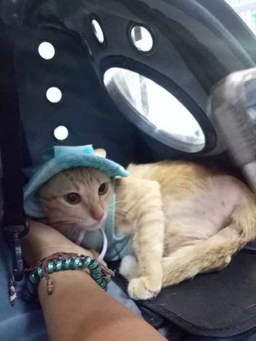 Không gian hiện đại tại Phòng khám Thú Y Vetcare