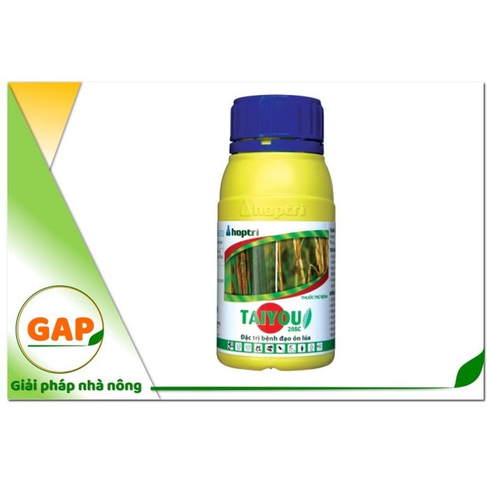 Taiyou 20SC – Thuốc đặc trị bệnh đạo ôn lúa - Hình ảnh 1