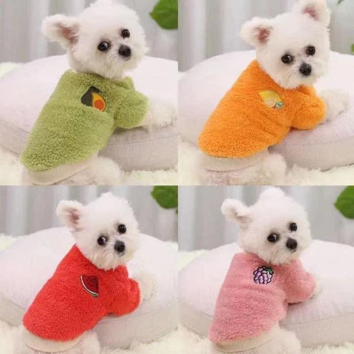 Ảnh đẹp, sinh động về Dream Pet's