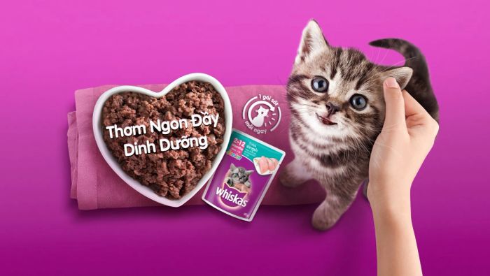 Hình ảnh minh họa sản phẩm Whiskas