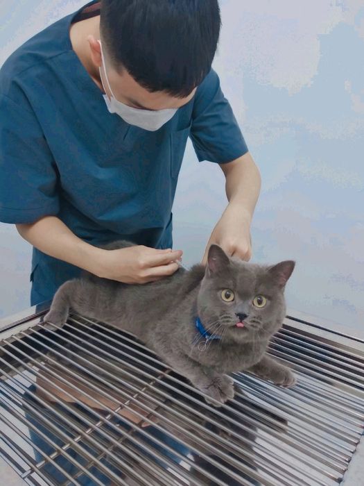 Hình ảnh phòng khám thú y Vetista