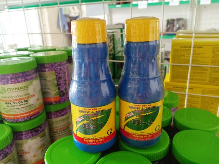 Hình ảnh minh họa Star Vitamin B1 Grow More - Ảnh 2