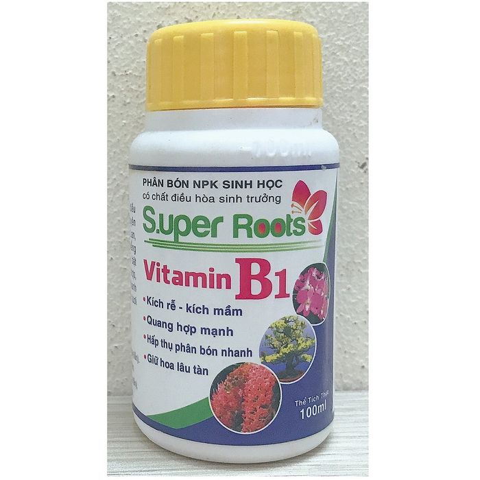 Hình ảnh minh họa Vitamin B1 Super Roots - Ảnh 2