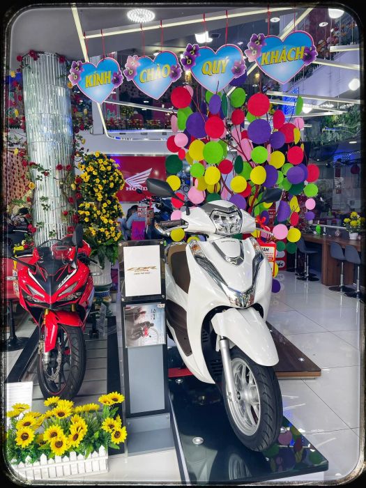 Hệ Thống Honda Cẩm Giang Bến Tre ảnh 1