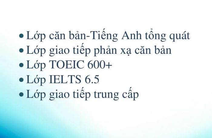 Hình ảnh hoạt động giảng dạy tại Mr. Katfish
