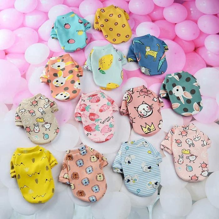 Hình ảnh tiêu biểu của Dream Pet's