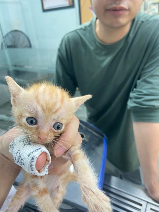 Hình ảnh đội ngũ bác sĩ chuyên nghiệp tại ProCare