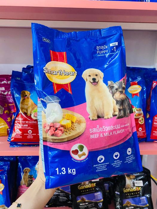 Kim Ngọc Pet ảnh 1