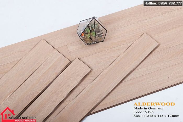 Sàn gỗ Alder ảnh 1