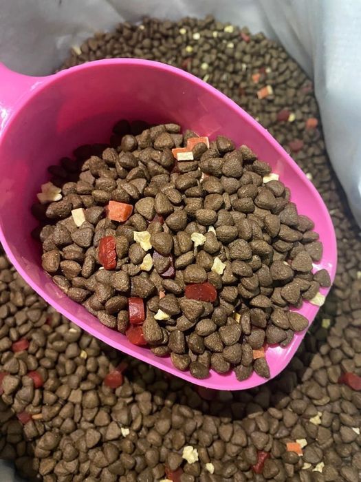 Khung cảnh Huong Poodle Home qua những bức ảnh chân thực và sinh động