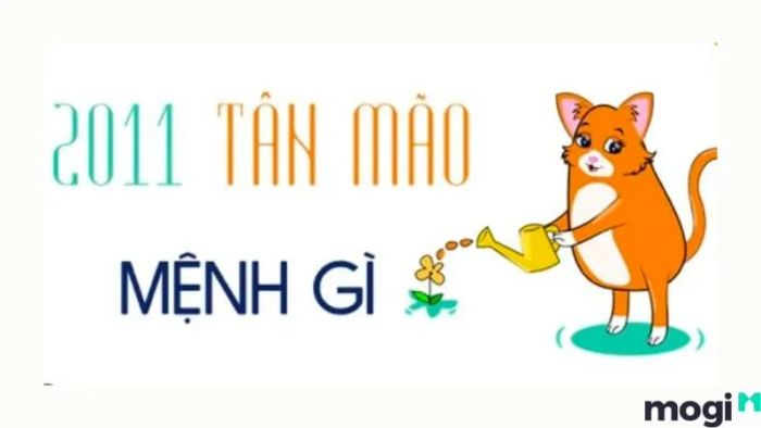 Bản mệnh người sinh năm 2011 thuộc hành nào?