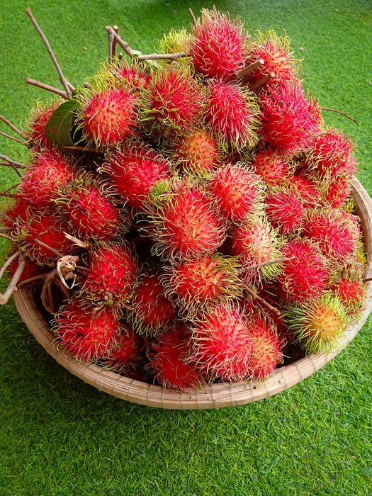 Không gian mua sắm ấm cúng và thân thiện tại Huka Farm