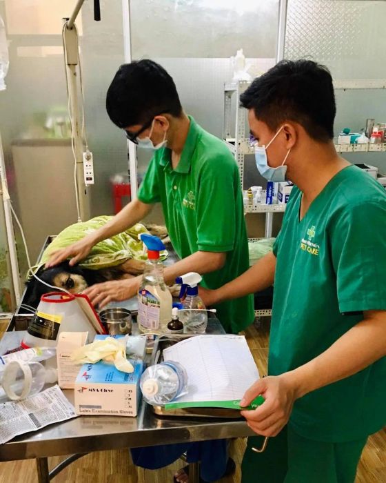 Không gian khám chữa bệnh hiện đại tại Bệnh viện Thú Y Petcare