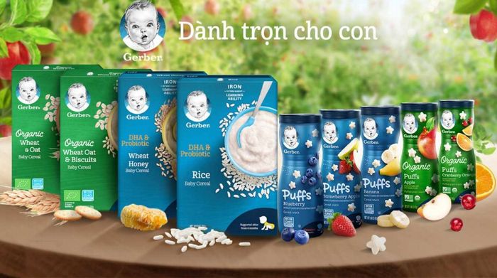 Hình ảnh chi tiết bột ăn dặm Gerber Organic