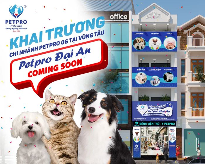 Cơ sở vật chất hiện đại tại Bệnh viện Thú Y Pet-Pro