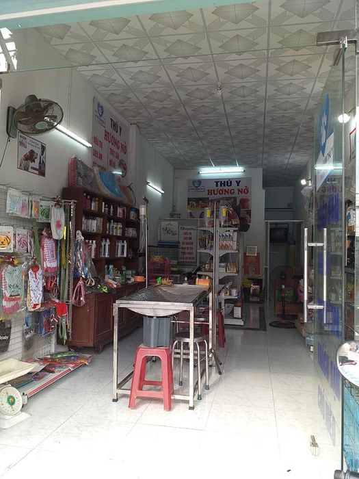 Không gian hiện đại tại Phòng Khám Thú Y Hương Nở