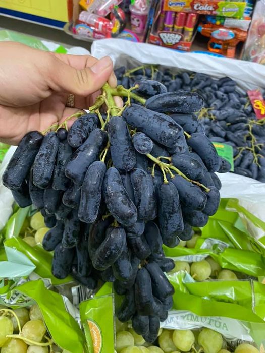 Không gian trưng bày trái cây nhập khẩu cao cấp tại Organic Fruit