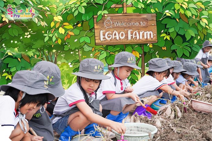 Hình ảnh sinh động tại Trường mầm non Sakura Kids - ảnh 2