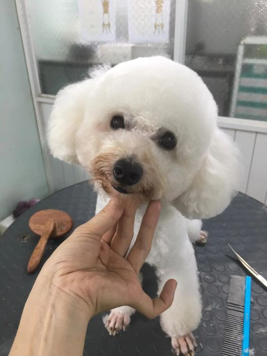 Ảnh Phòng khám thú y Thiên Ân 2