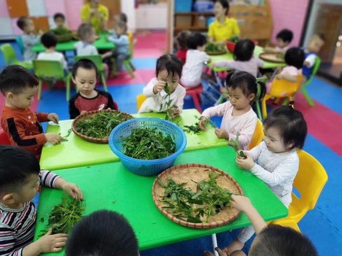Mầm non Happy House ảnh 1
