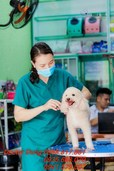 Ảnh Trung Tâm Chữa Bệnh Thú Cưng Quảng Nam Dogs & Cats 2