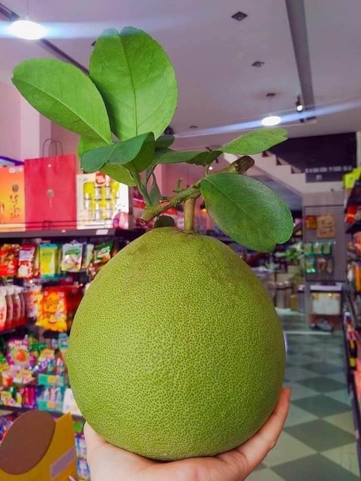 Không gian sang trọng với các loại trái cây nhập khẩu tại KAP Mart