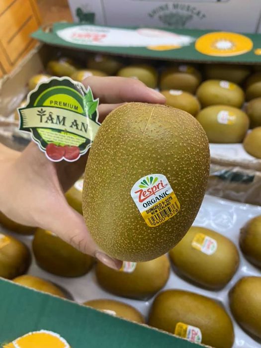 Góc trưng bày trái cây tươi ngon đạt chuẩn tại Tâm An