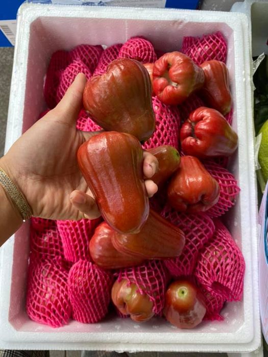 Góc trưng bày trái cây nhập khẩu tươi ngon tại Organic Fruit