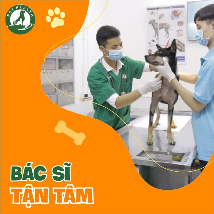 Hình ảnh Bệnh viện thú y PetHealth Bắc Ninh - Không gian điều trị hiện đại