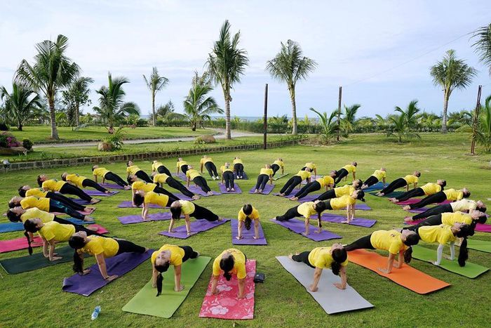 CLB Yoga Sức Sống Mới - Ảnh 3