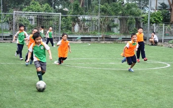 Trung Tâm Thể Thao A1 Thành phố Hồ Chí Minh ảnh 1