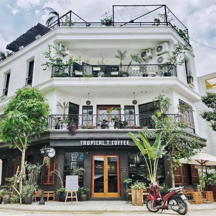 Khu vườn nhiệt đới tại tầng trệt Tropical T Coffee - nơi thiên nhiên hòa quyện cùng kiến trúc hiện đại