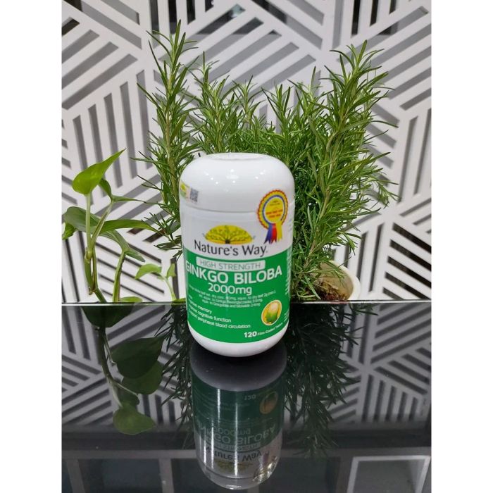Hình ảnh Ginkgo Biloba 2000mg Nature's Way - Ảnh 2