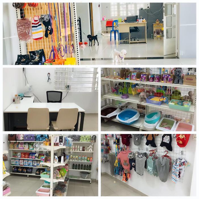 Không gian hiện đại tại Phòng Khám Thú Y Xíu Pet